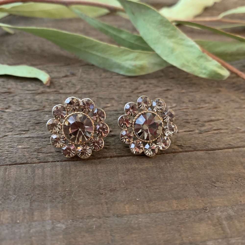 Jewel / Gemstone Sparkle Stud Earrings